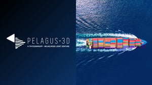 Pelagus Identity and Commitment